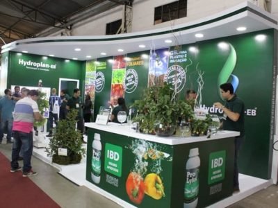 Crédito Ana Maria Diniz