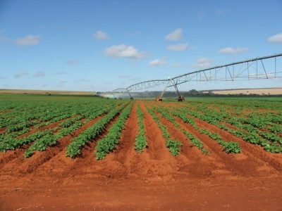Crédito Ana Maria Diniz