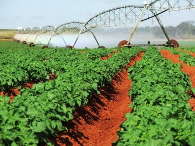 Crédito Ana Maria Diniz