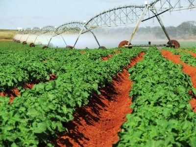 Crédito Ana Maria Diniz