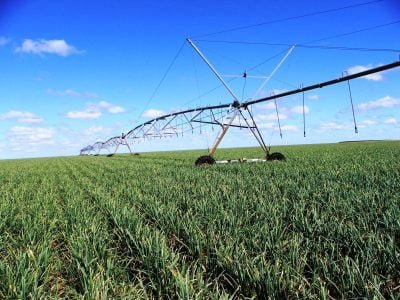 Crédito Ana Maria Diniz
