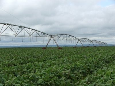Crédito Ana Maria Diniz
