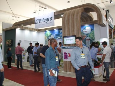 Crédito Ana Maria Diniz