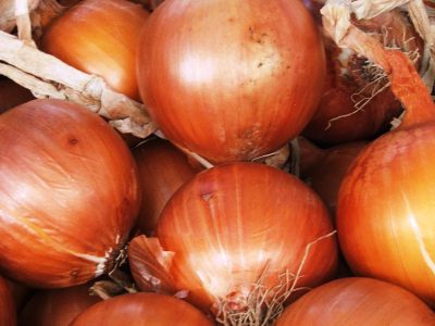 Crédito Ana Maria Diniz