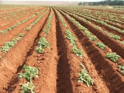 Crédito Ana Maria Diniz