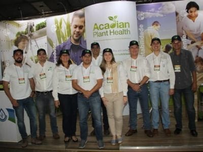 Crédito Ana Maria Diniz