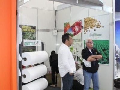 Crédito Ana Maria Diniz