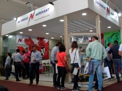 Crédito Ana Maria Diniz