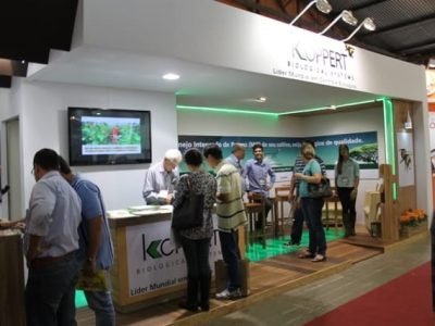 Crédito Ana Maria Diniz