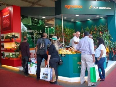 Crédito Ana Maria Diniz