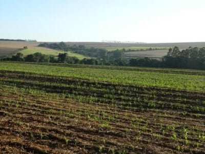 Crédito André Fachini