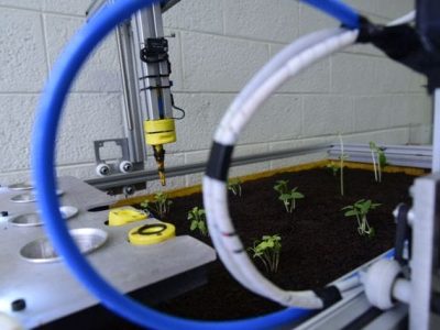 Crédito Antonio Scarpinetti