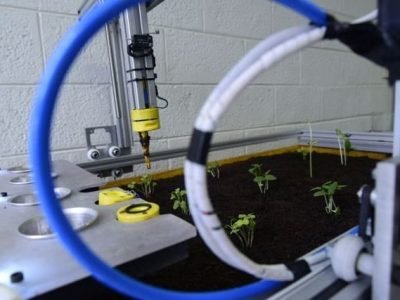 Crédito Antonio Scarpinetti