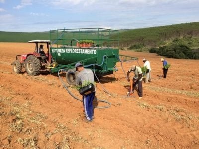 Crédito Bela Vista Florestal