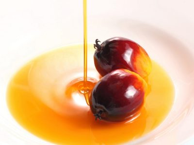 Crédito Biomassa & Bioenergia