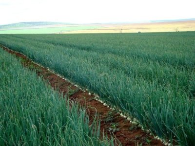 Foto-01-Crédito-Carlos-Inácio-Garcia