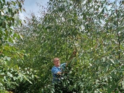 Crédito Celso Medeiros