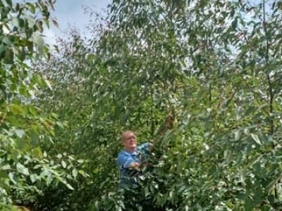 Crédito Celso Medeiros Lima