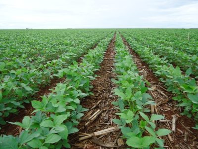 Crédito Claudinei Kappes