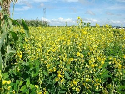 Crédito Claudinei Kappes