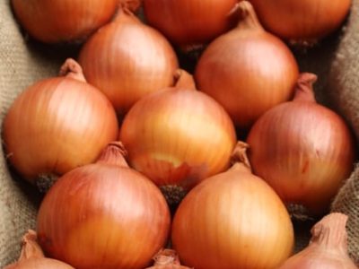 Crédito Claudinei Kurtz