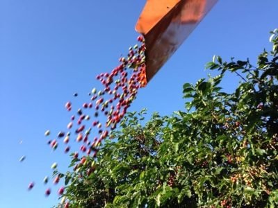 Crédito Cristiano de Oliveira