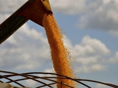 Foto-01-Crédito-Cristiano-de-Oliveira-624x414