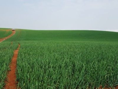 Crédito Daniel Pedrosa