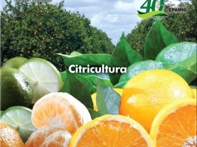 Foto 01 - Crédito Divulgação