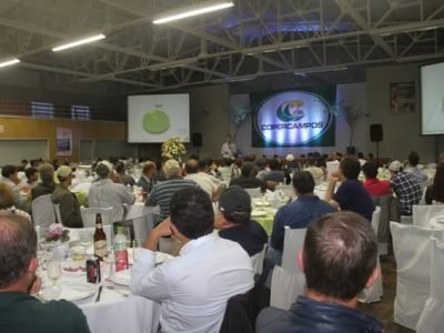 Foto 01 - Crédito Divulgação