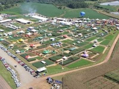 Crédito Divulgação