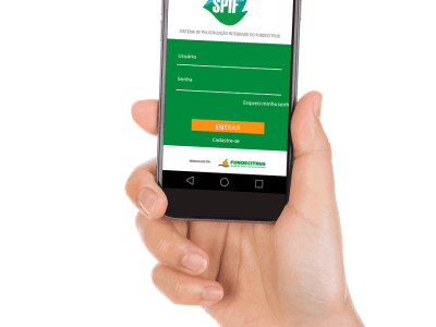 Crédito Divulgação