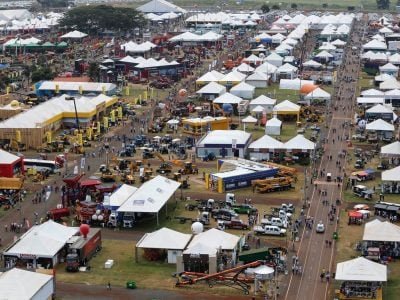 Crédito Divulgação