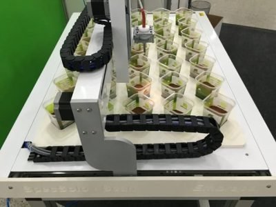 Crédito Divulgação