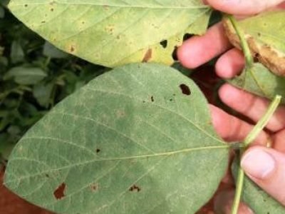 Foto-01-Crédito-Divulgação