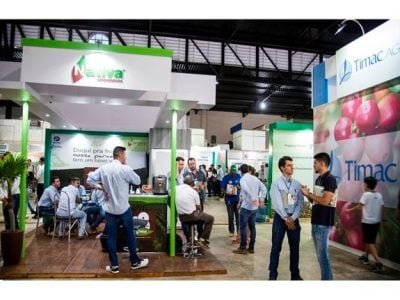 Crédito Divulgação