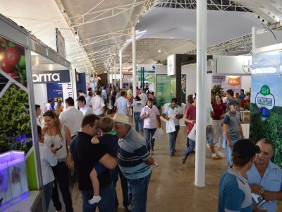 Crédito Divulgação