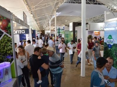 Crédito Divulgação