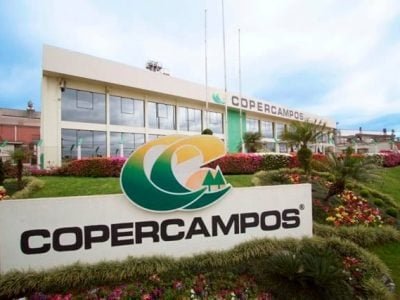 Crédito Divulgação