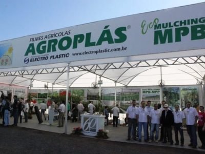 Crédito Divulgação