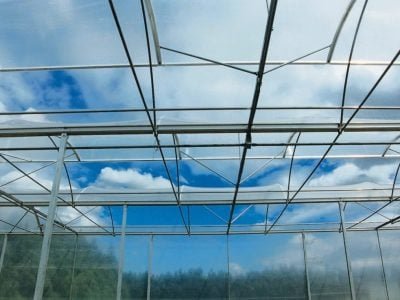 Crédito Divulgação