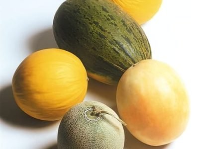 Principais tipos de melão cultivados no Brasil