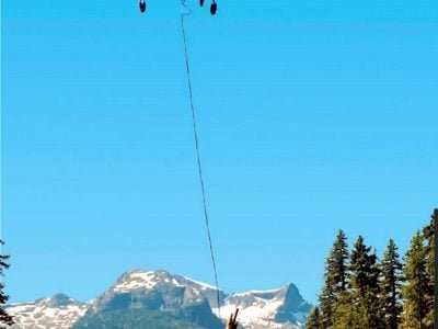 European Air-Crane Logging