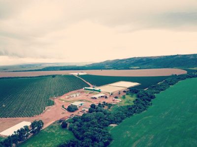 Crédito Família A. Guimarães