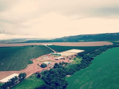 Crédito Família A. Guimarães