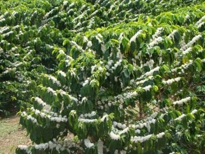 Crédito Farroupilha