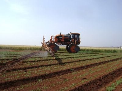 Crédito Fazenda Mandaguari