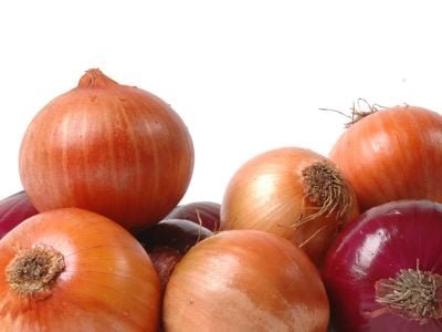 Crédito Fernando Gomes