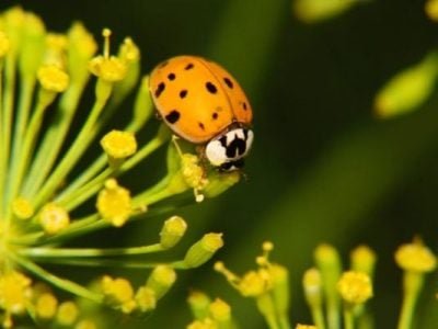 Foto-01-Crédito-Flávio-Medeiros-600x400