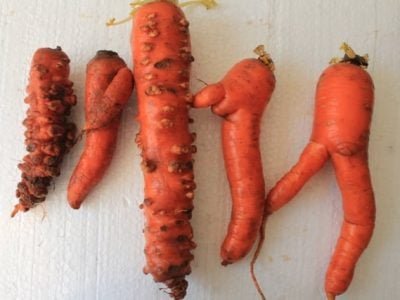 Foto-01-Crédito-Foto-01–-Fábio-Ramos